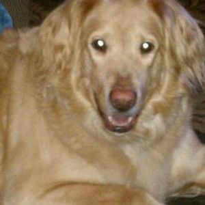 Meet your Posher, Todd